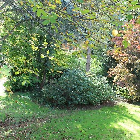 Beau Reg'Art Bed & Breakfast Hasselt Bagian luar foto