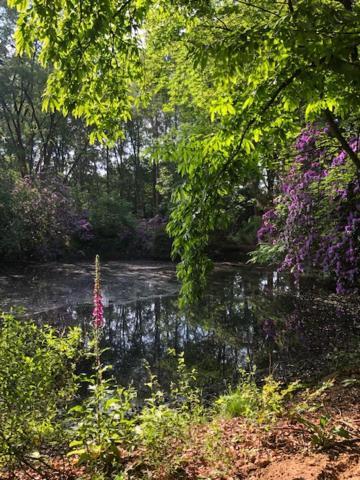 Beau Reg'Art Bed & Breakfast Hasselt Bagian luar foto